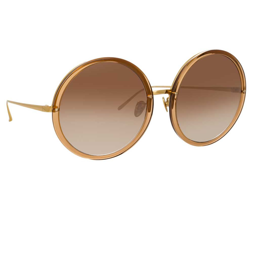 THE KEW | OVERSIZED SUNGLASSES IN BROWN FRAME (C34) - 3