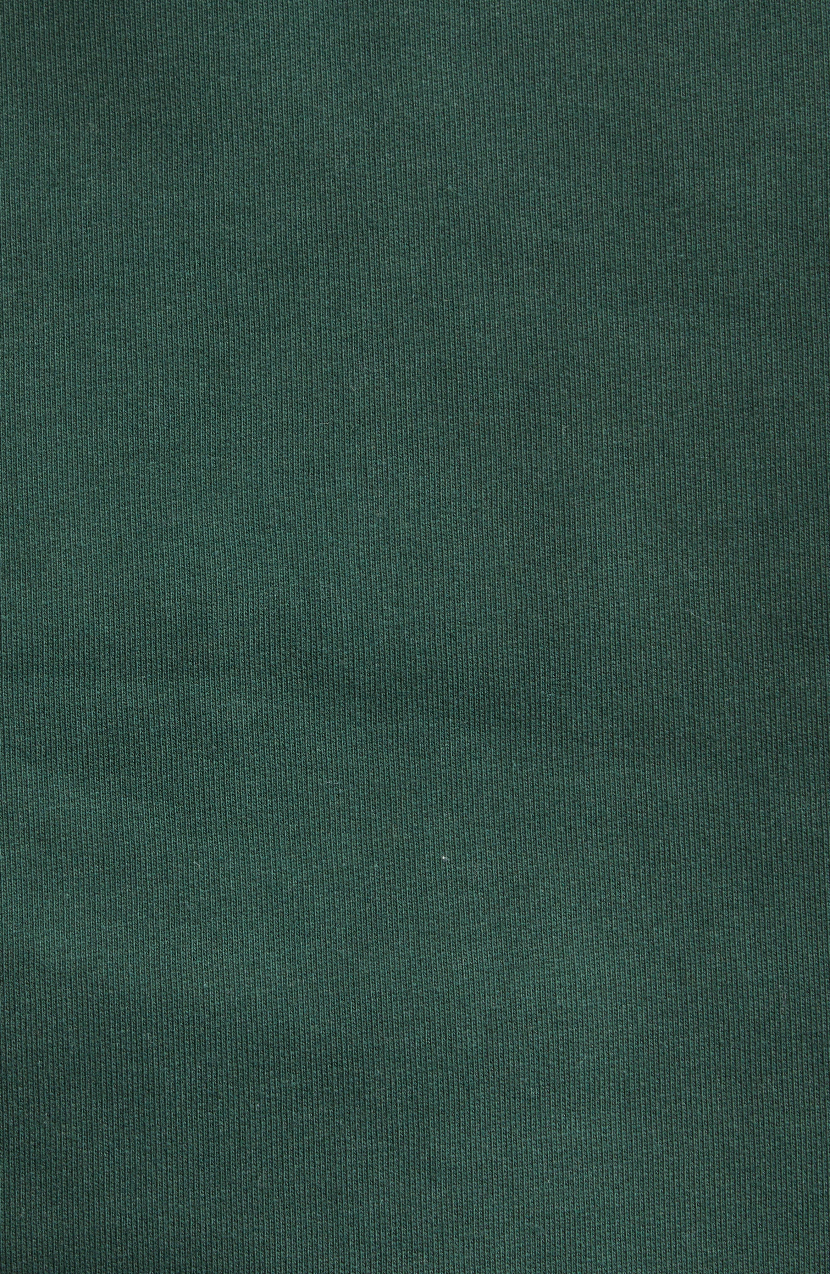 Jacquemus The Gros Grain Cotton Fleece Zip Sweatshirt in Dark Green at Nordstrom - 6