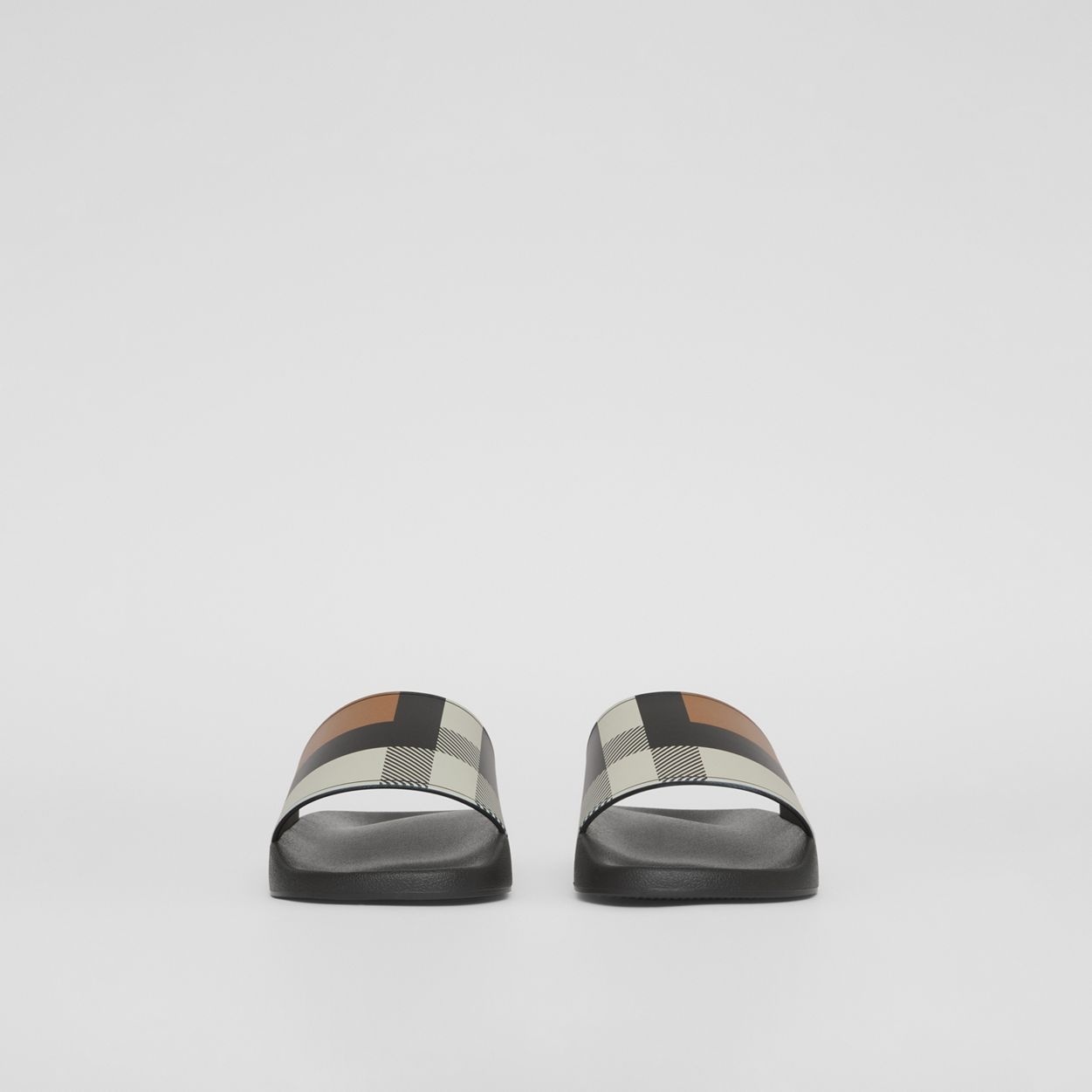 Check Print Slides - 4