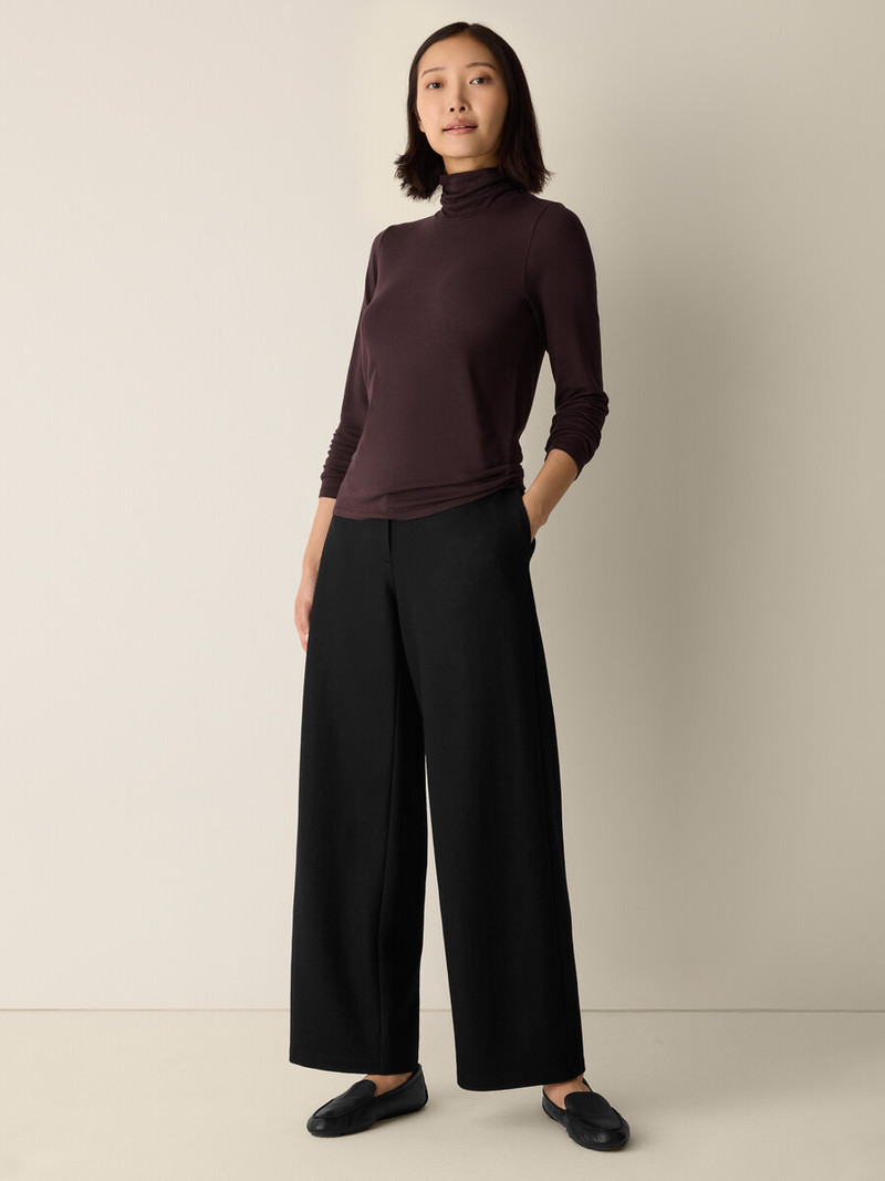 Sheer Cotton Blend Knit Turtleneck Top 3