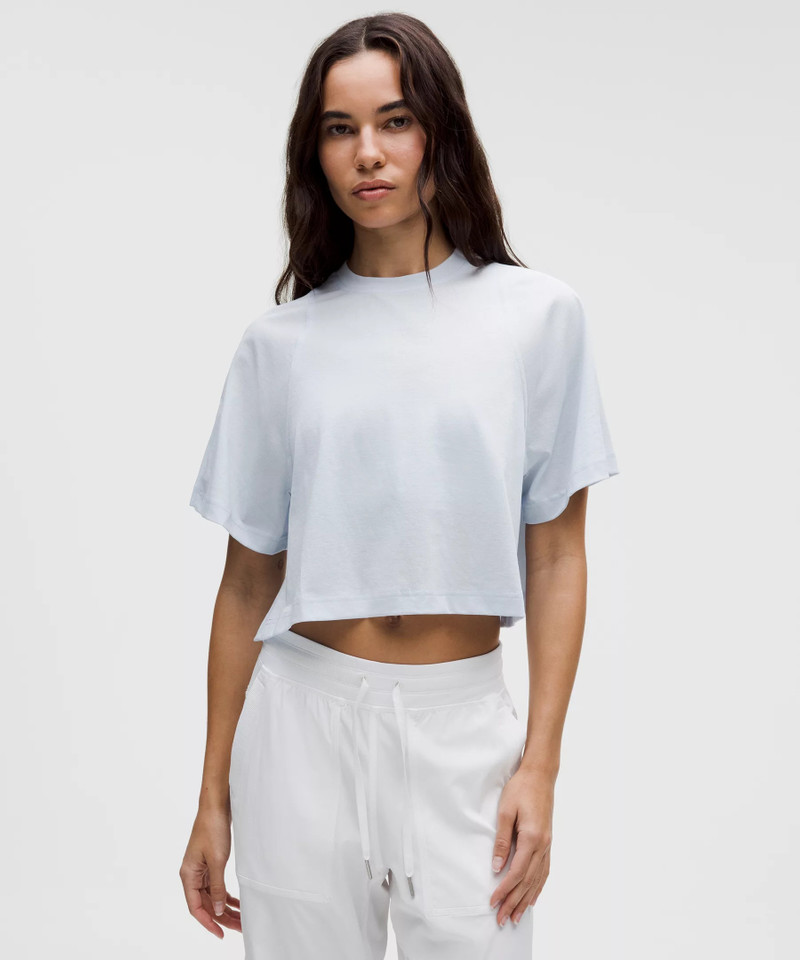 Sheer Crewneck T-Shirt 1