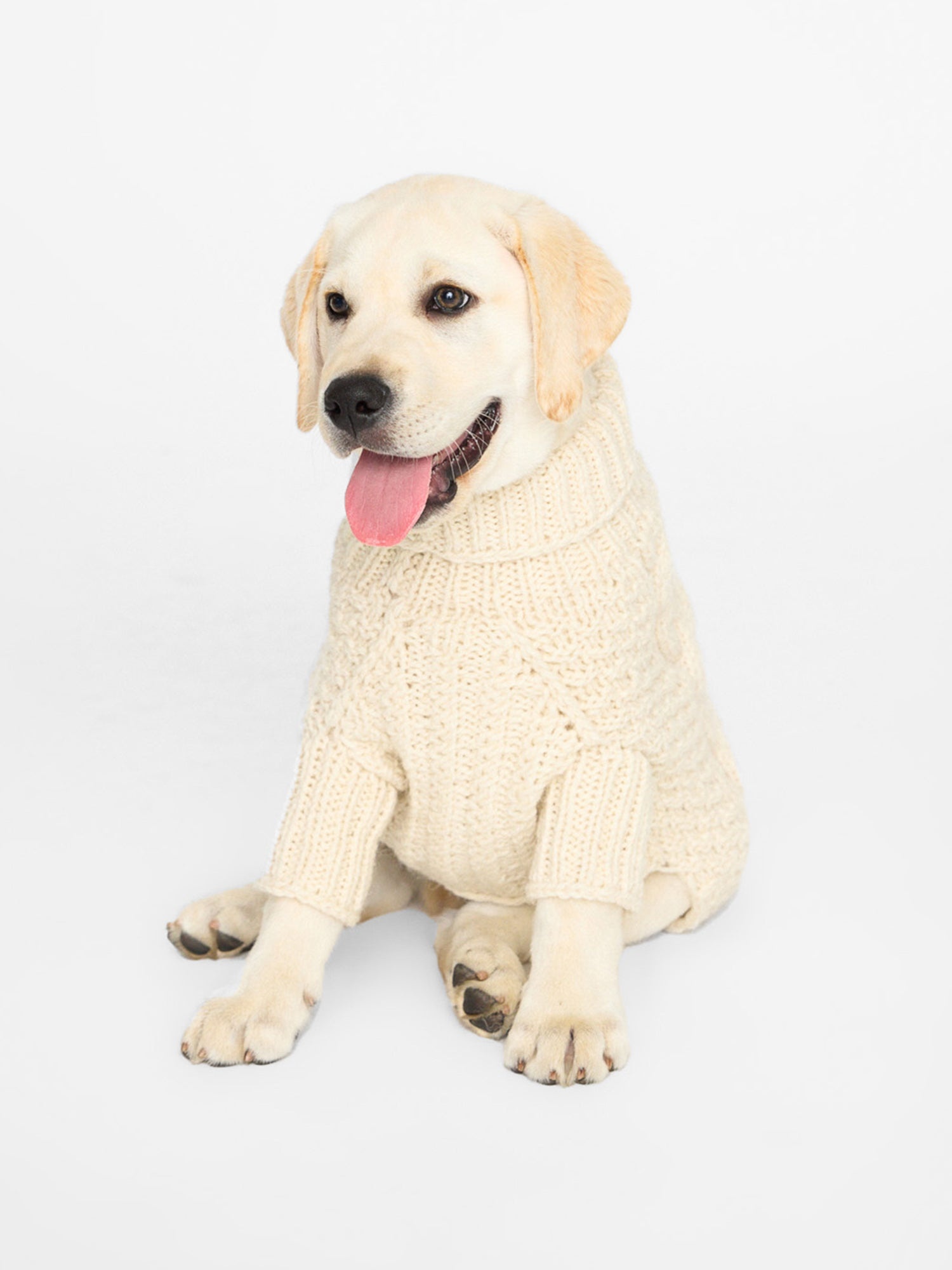 The Cable Dog Sweater - 5