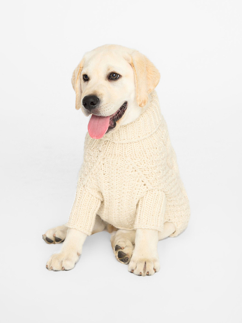 The Cable Dog Sweater 5