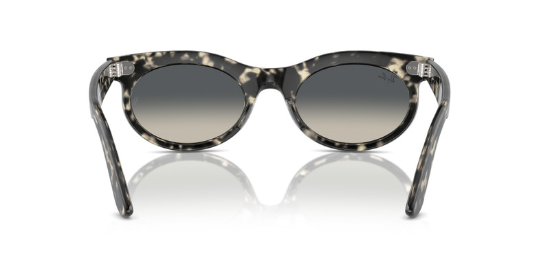 WAYFARER OVAL 5