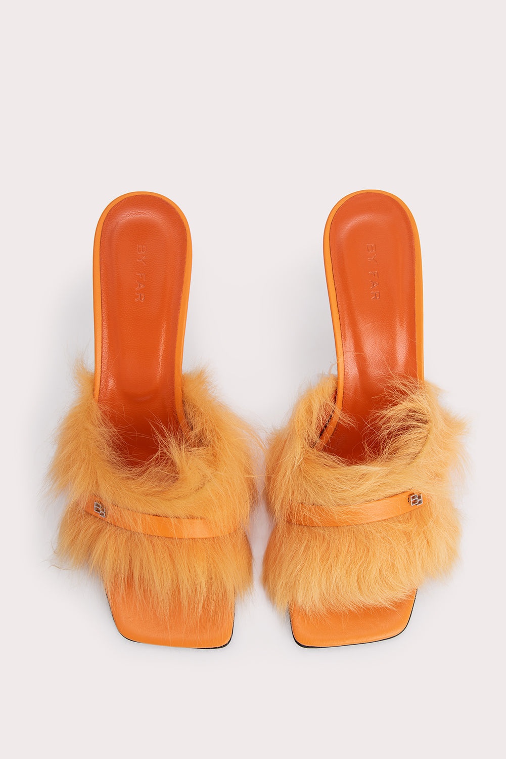 Kenny Orange Toscana - 6