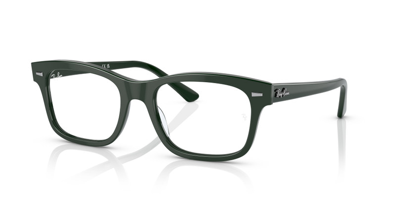 RB5387 OPTICS 1