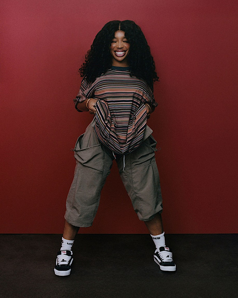 Vans Knu Skool Shoe outlook