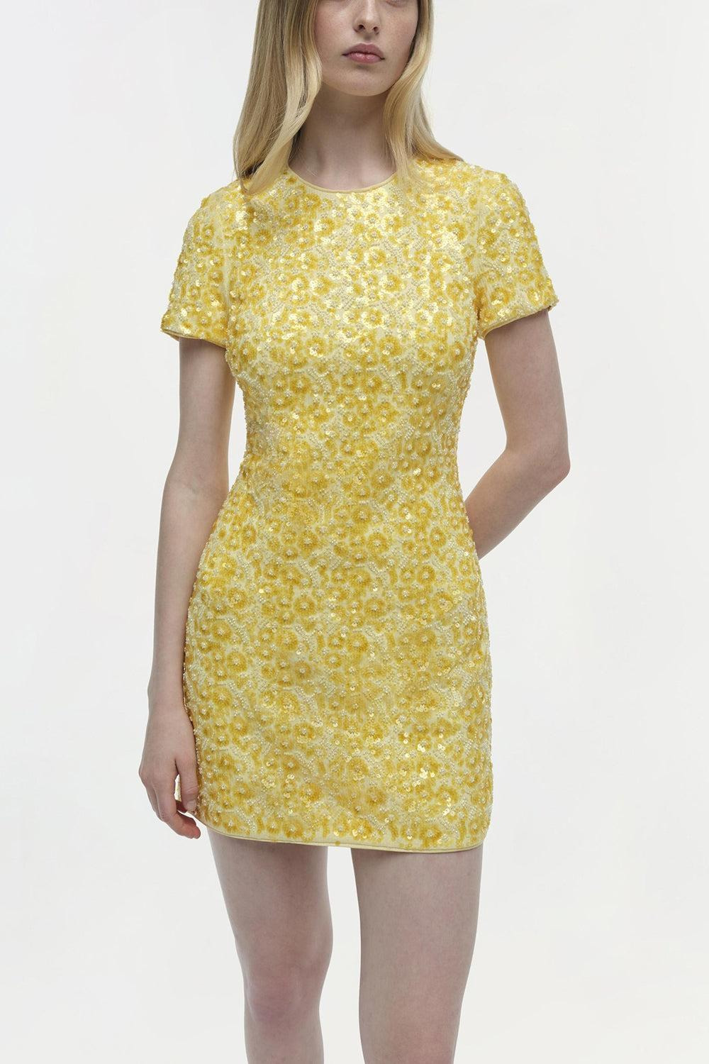 Clove Dress - 2