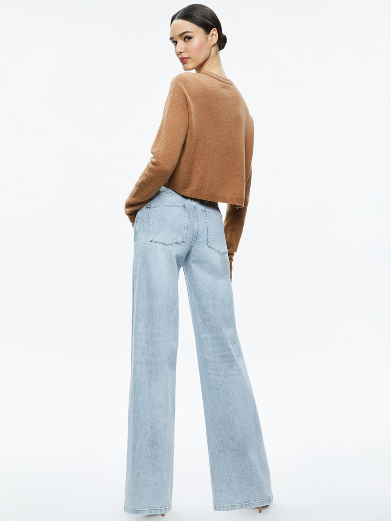 Alice + Olivia SHERRELL CREW NECK PULLOVER outlook