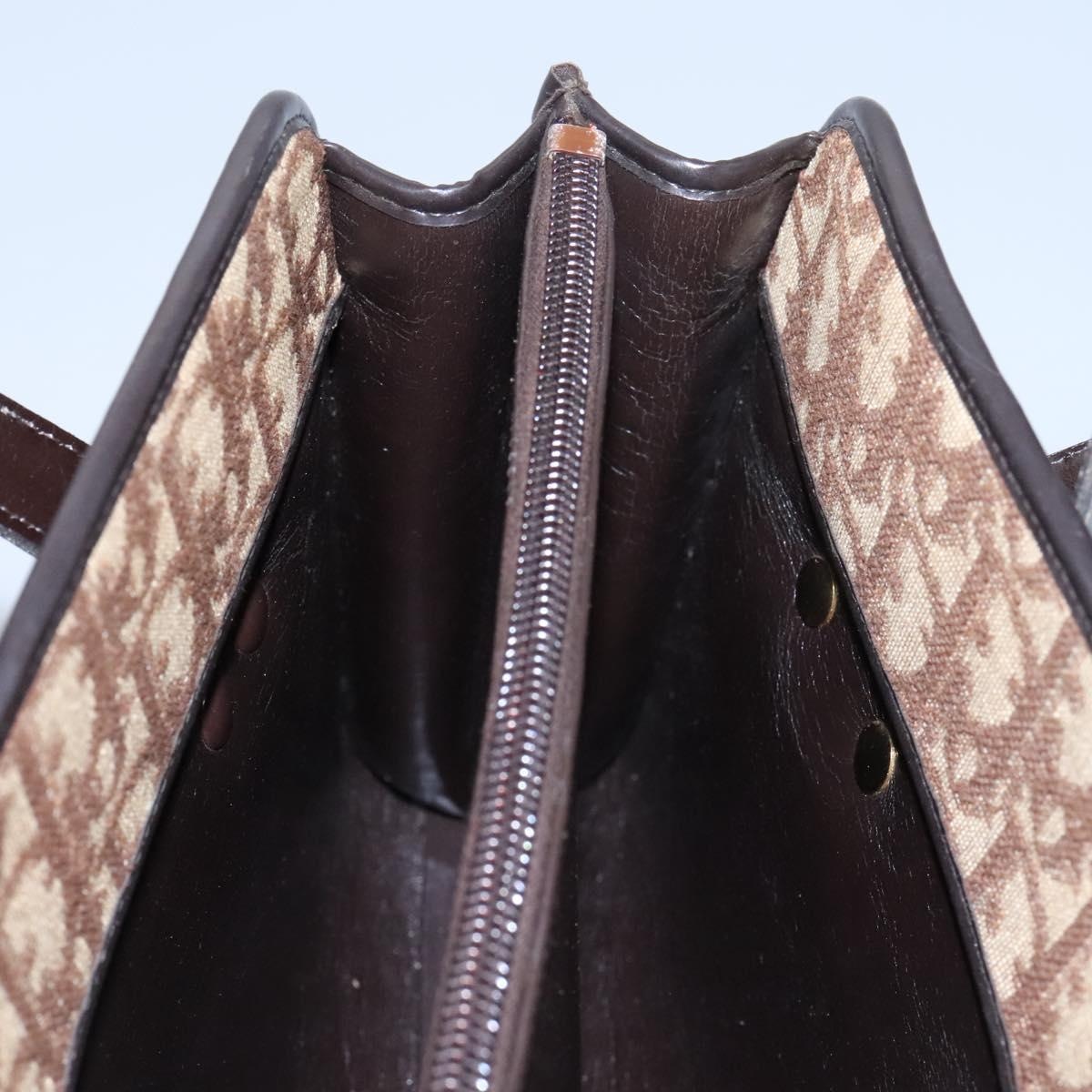DIOR Trotter Canvas Hand Bag Brown - 16