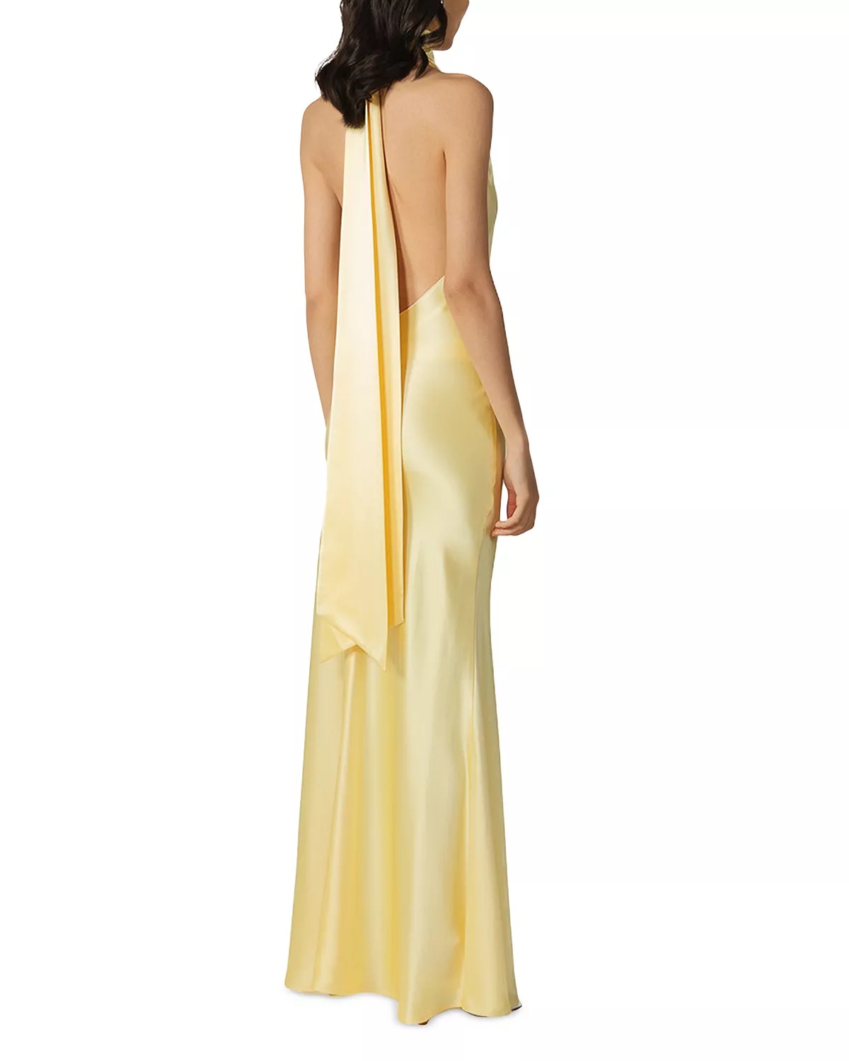 Penelope Satin Halter Neck Gown - 2