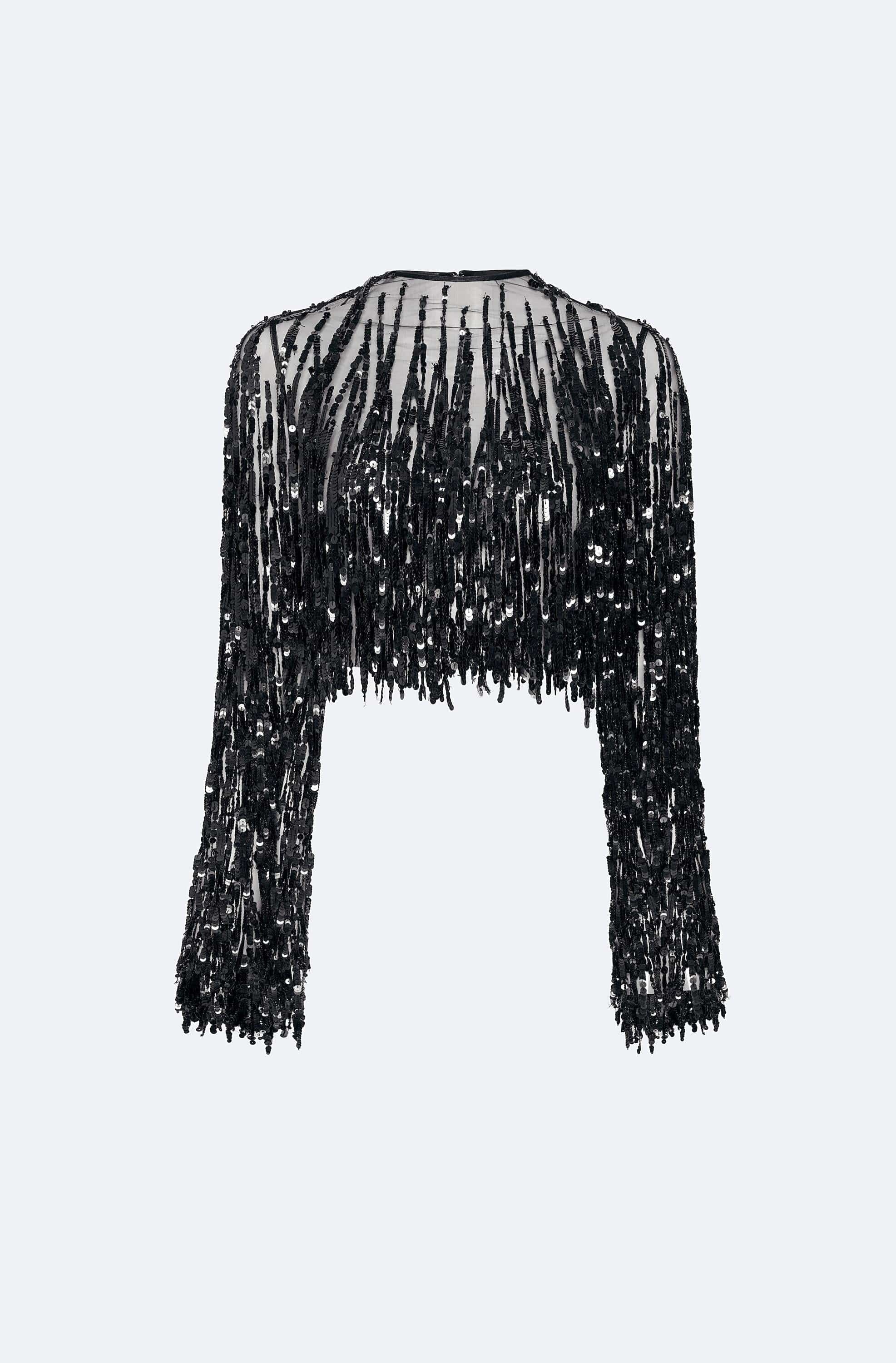 Fringe Sequin Cropped Top - 1