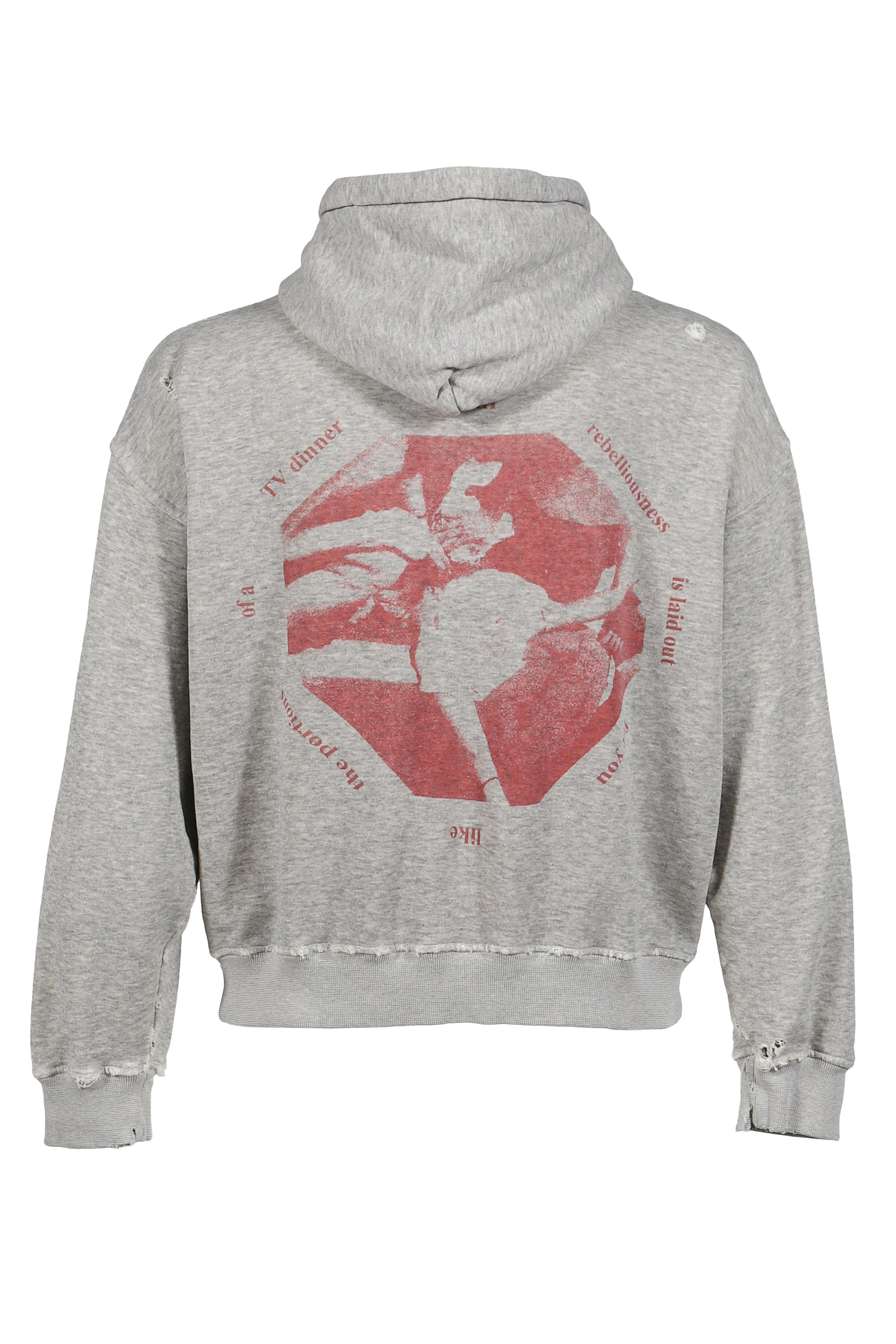 YOU ARE NOTHING HOODIE / HEATHER GRY - 7