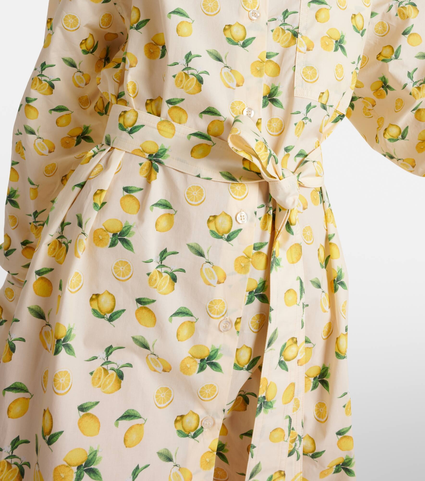Boero printed cotton shirt dress - 5