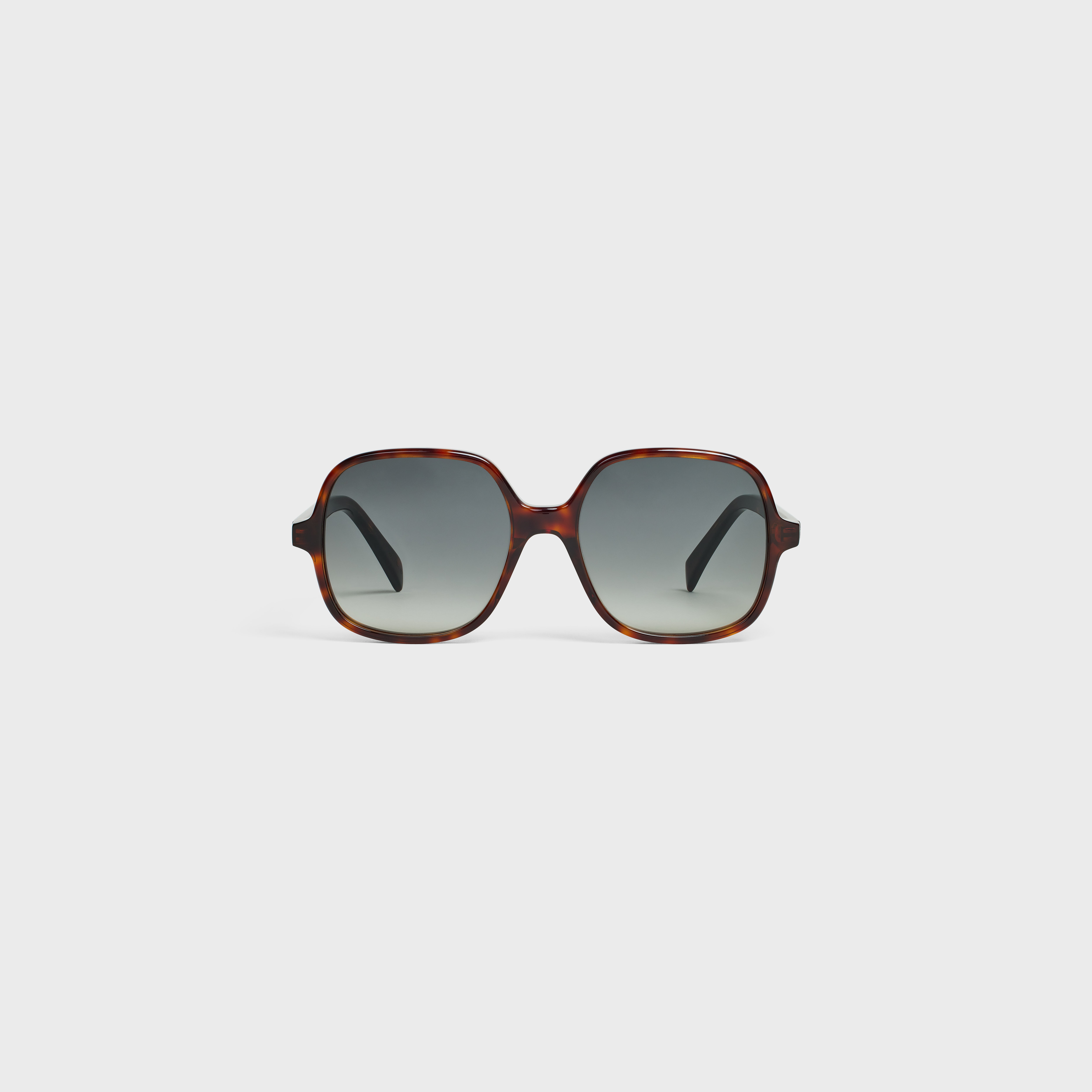 Oversized S244 Sunglasses in Acetate - 1