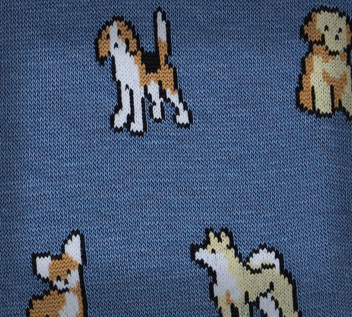 Blue Cotton-Blend 'Dogs' Socks - 4
