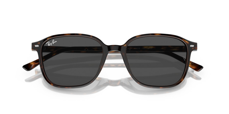 LEONARD TRANSITIONS® 4