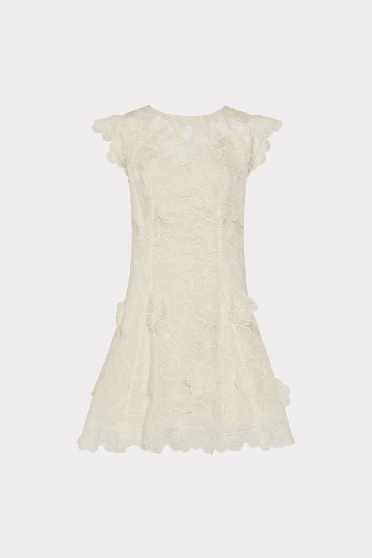 Myla Embroidered Mini Dress - 1