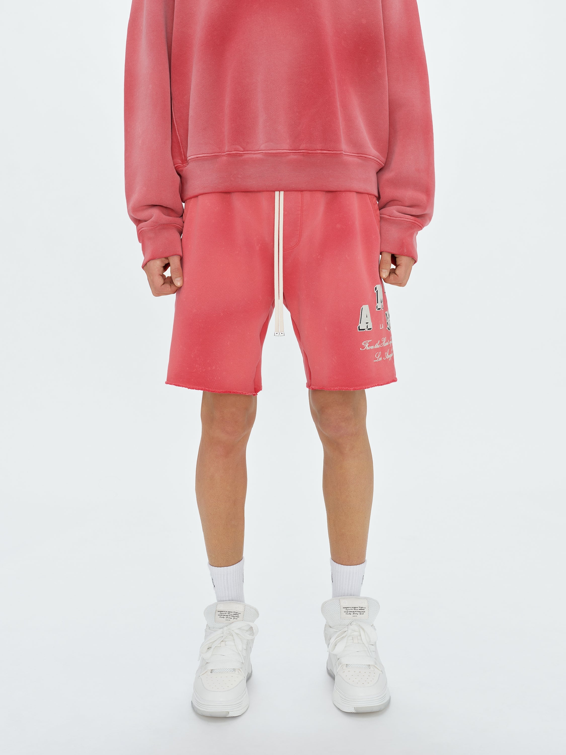 VINTAGE COLLEGIATE SHORTS - 2