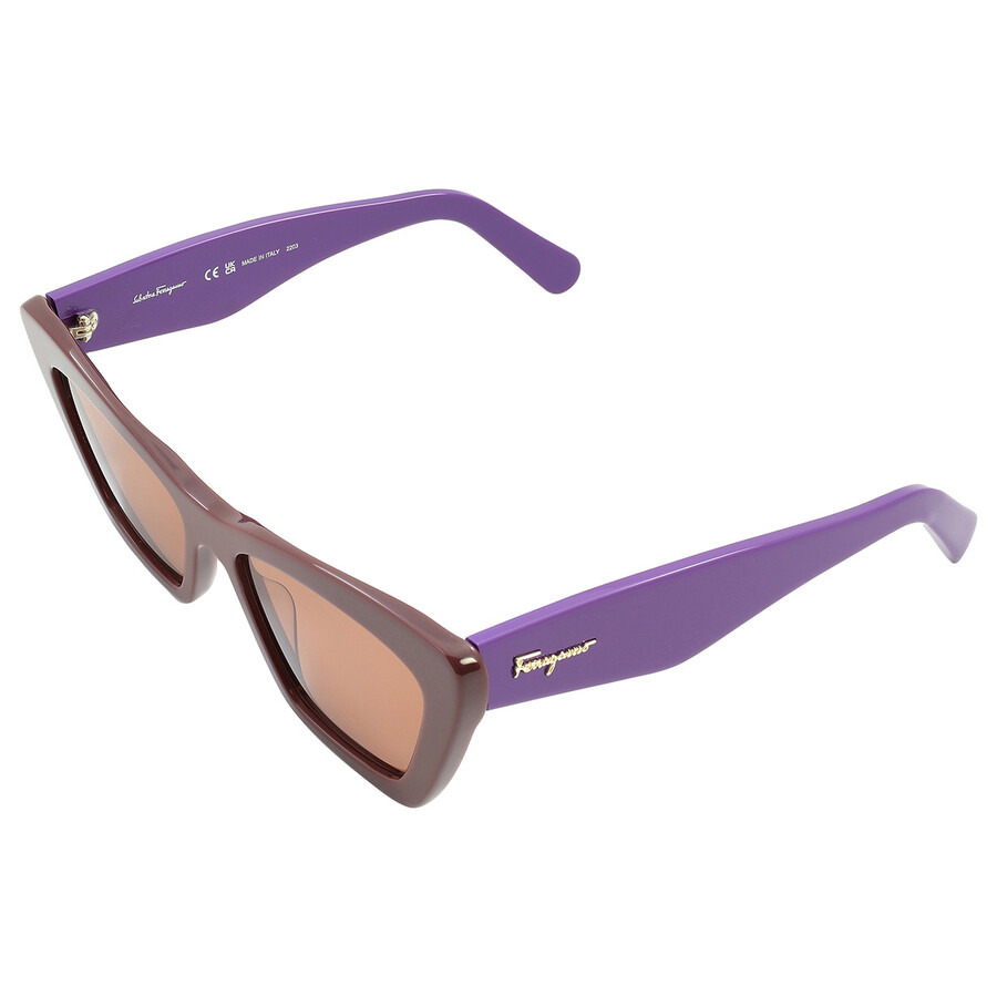 Salvatore Ferragamo Pink Cat Eye Ladies Sunglasses SF929S 209 55 - 5