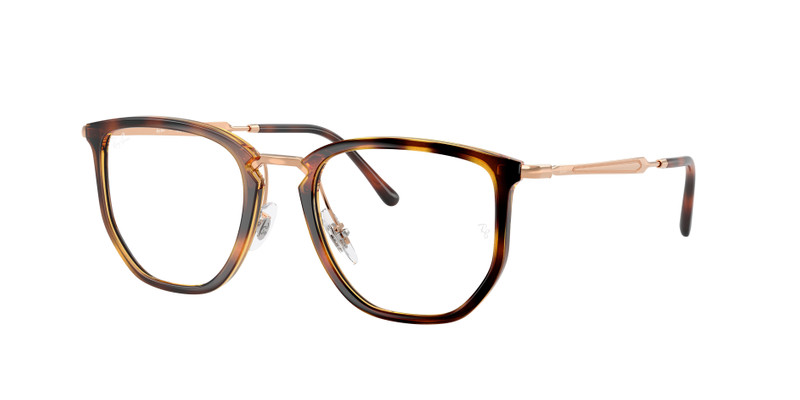 RB4451V OPTICS 3