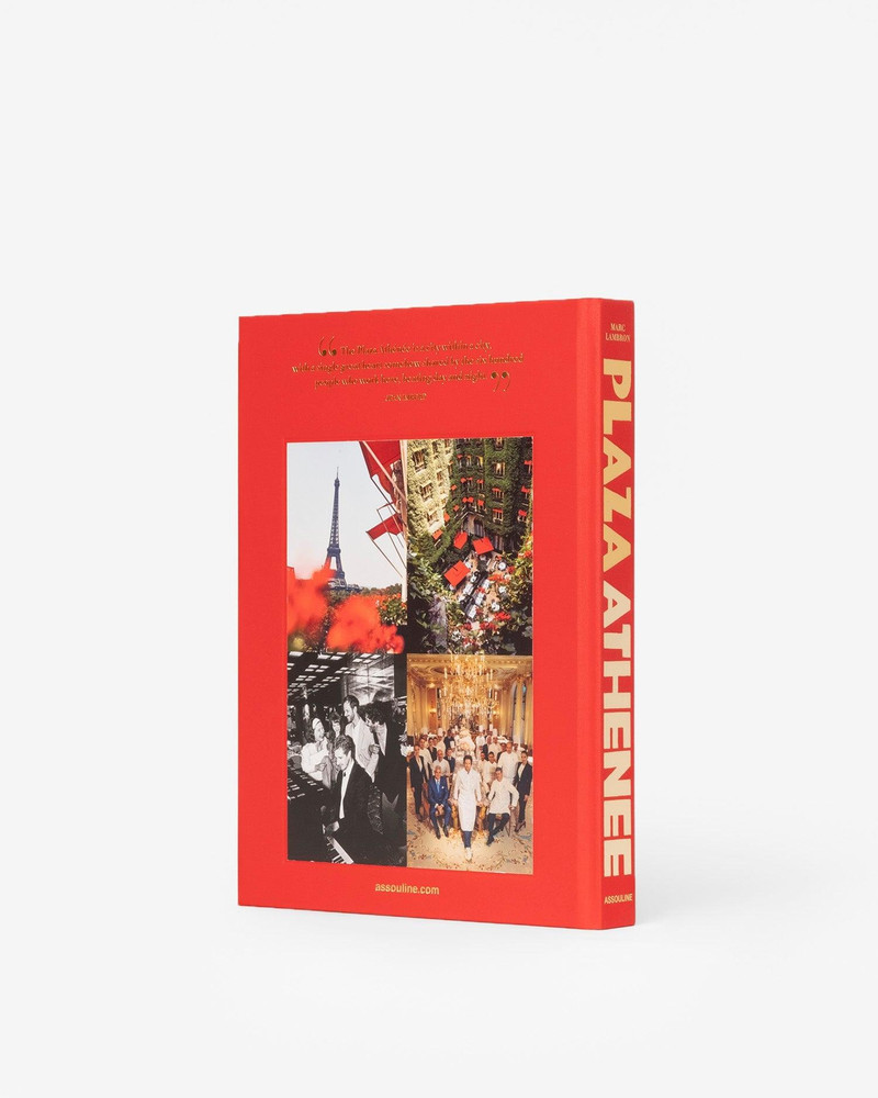 ASSOULINE Plaza Athénée outlook