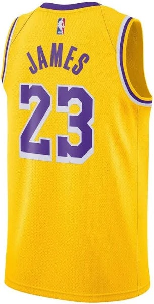 Nike x NBA Los Angeles Lakers Icon Edition 22-23 Jerseys 'LeBron James' DN2009-733 - 2