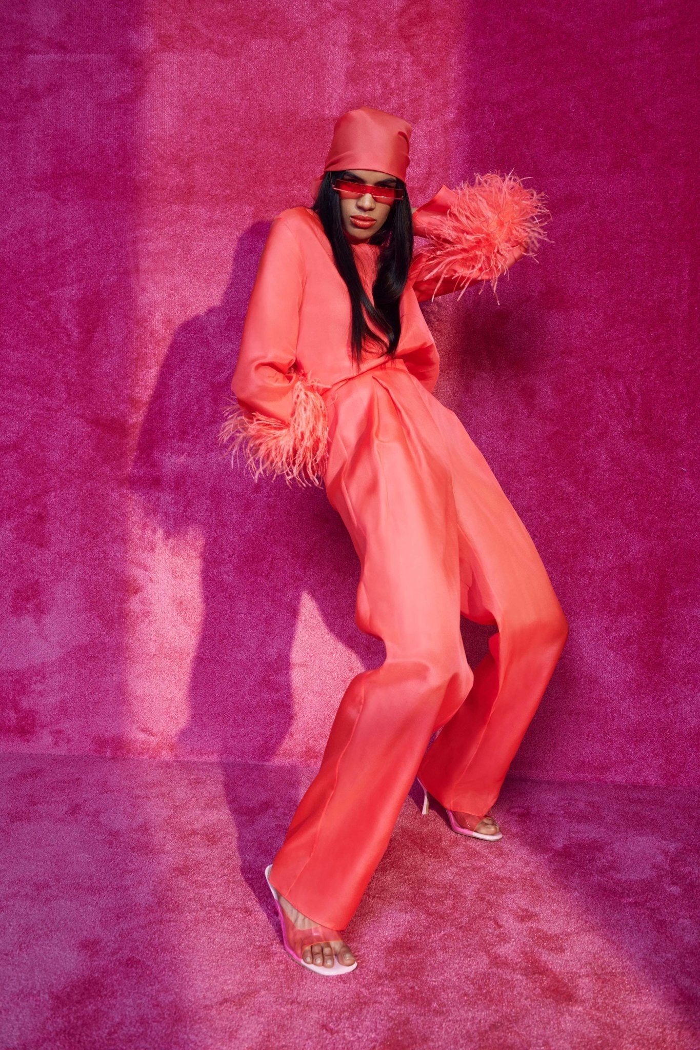 Organza Top With Feathers - 2