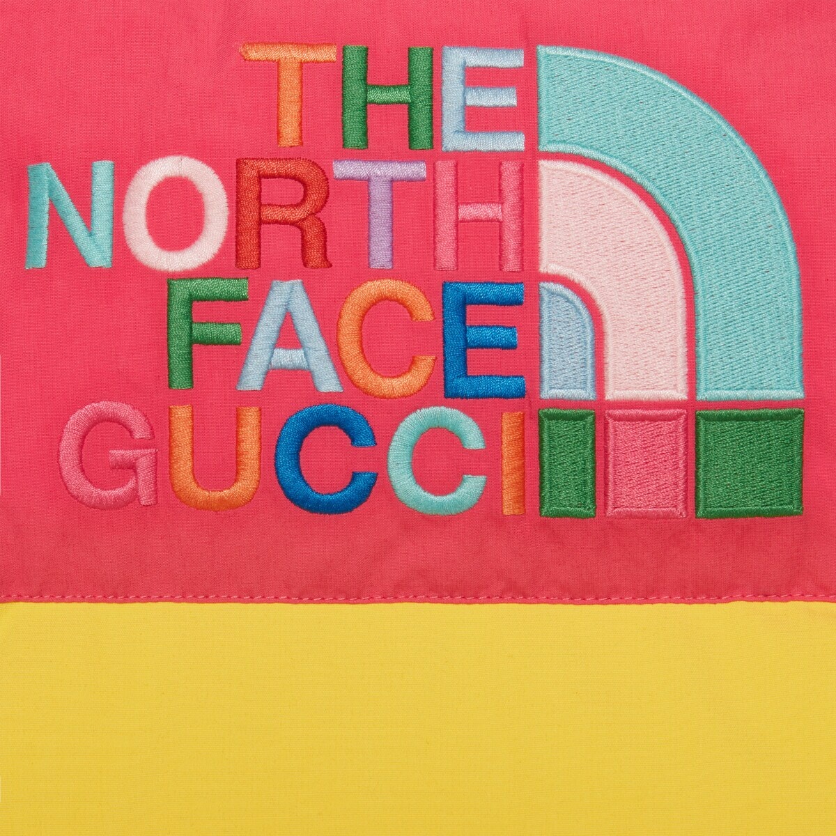 The North Face x Gucci down jacket - 4
