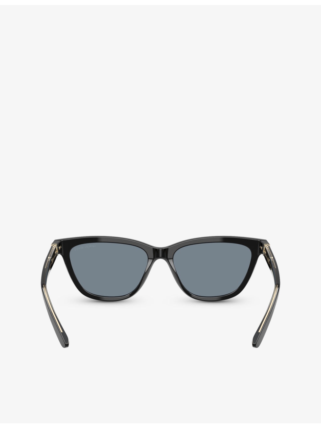 AR8221 Cat-Eye Acetate Sunglasses - 4