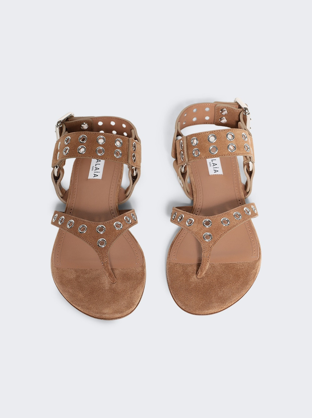 Flat Thong Sandals Terre D'ombre - 3