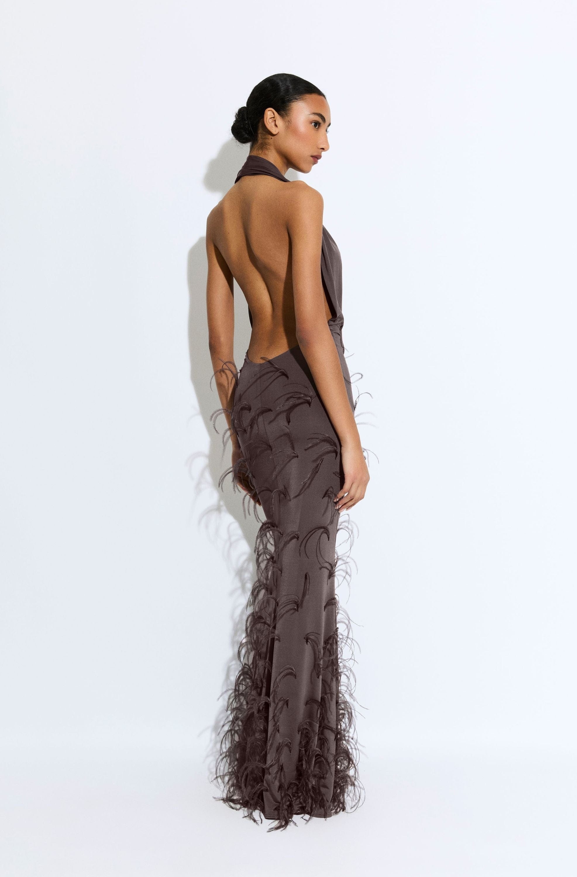 Lightweight Jersey Deep Cowl Neck Gown With Feathers - 3