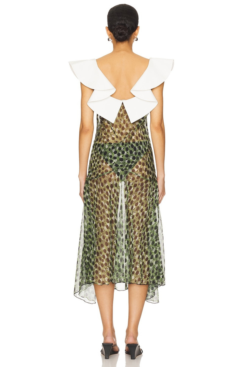 SIEDRÉS Caenes Dress outlook