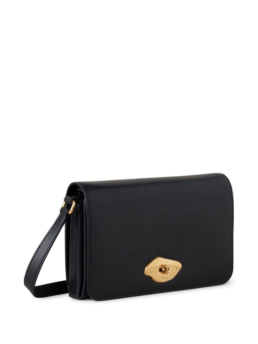 Lana leather shoulder bag - 5