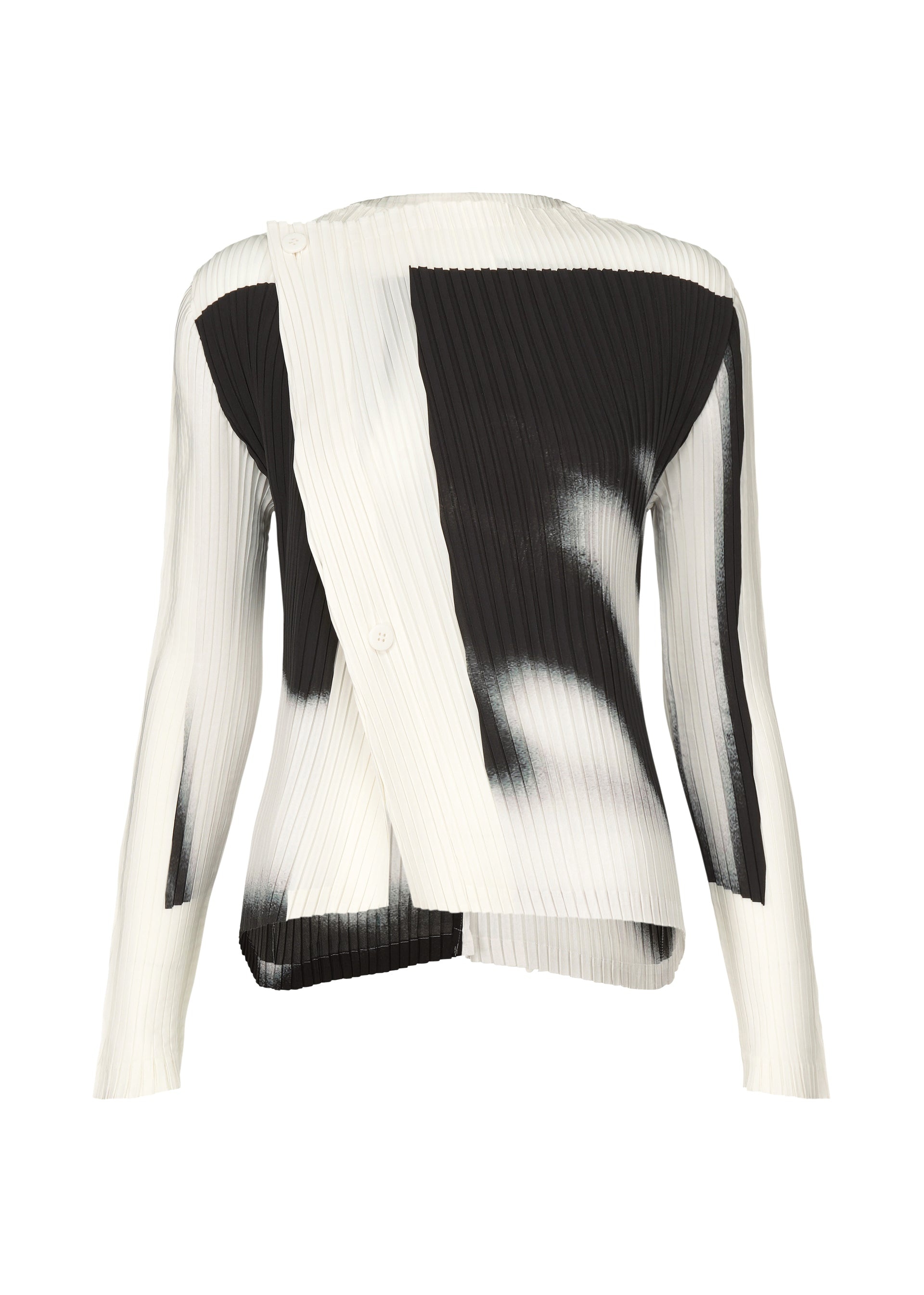 SHADOW STUDY PLEATS - 1