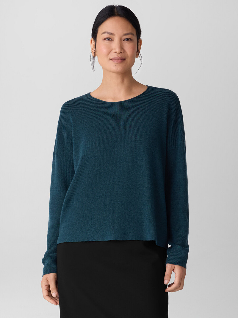 EILEEN FISHER Merino Crew Neck Top in Regenerative Wool outlook