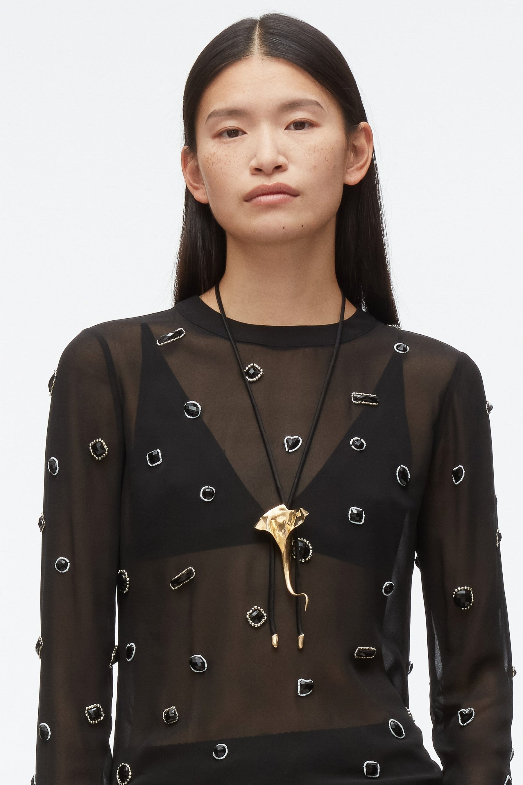 Halo Embroidered Chiffon Long Sleeve Top - 4
