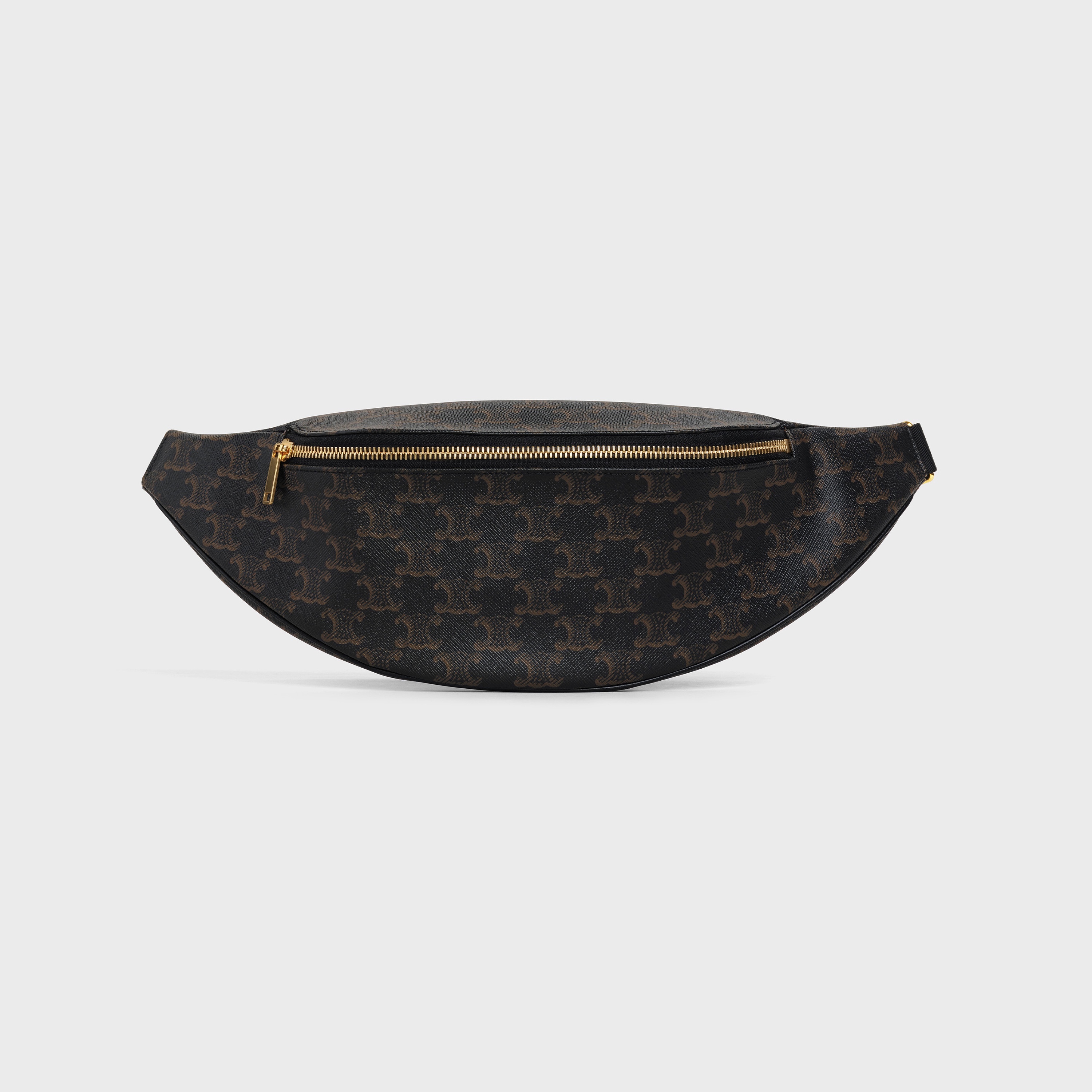 BELT BAG IN TRIOMPHE CANVAS - 1