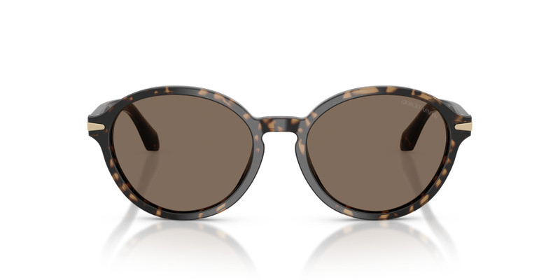 GIORGIO ARMANI AR8237 outlook