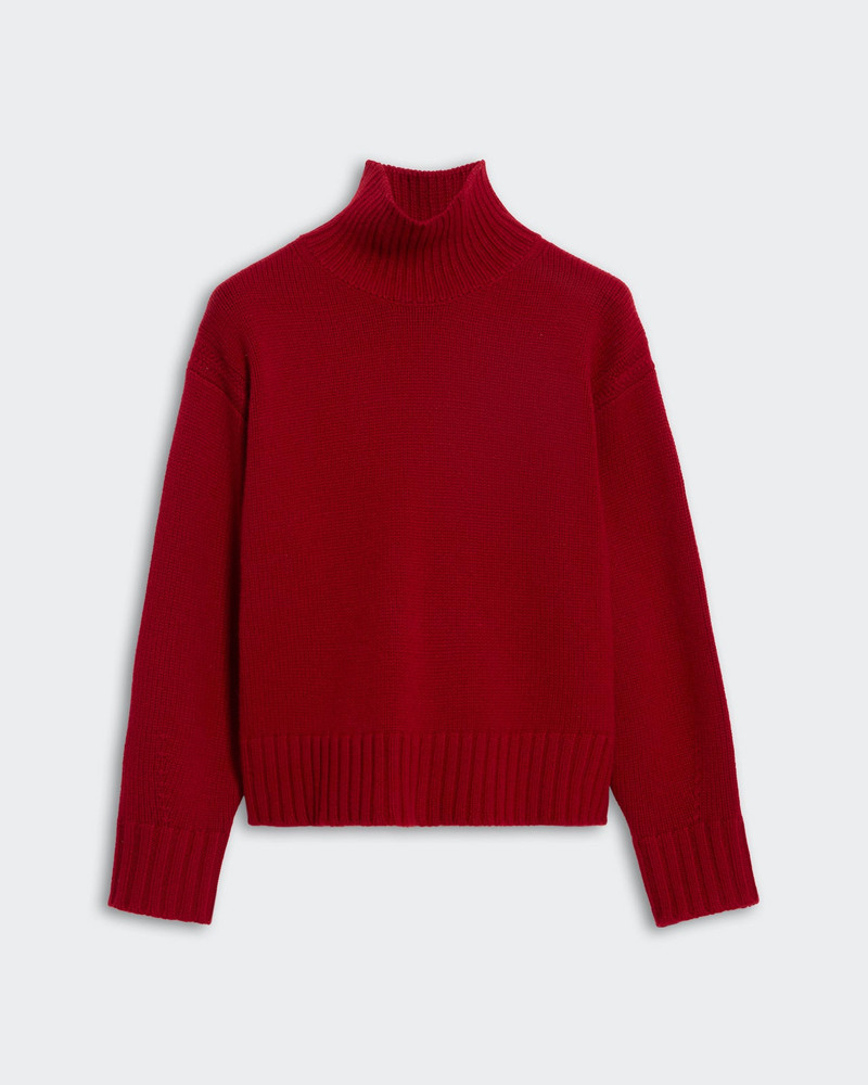 Cozy Turtleneck - 1