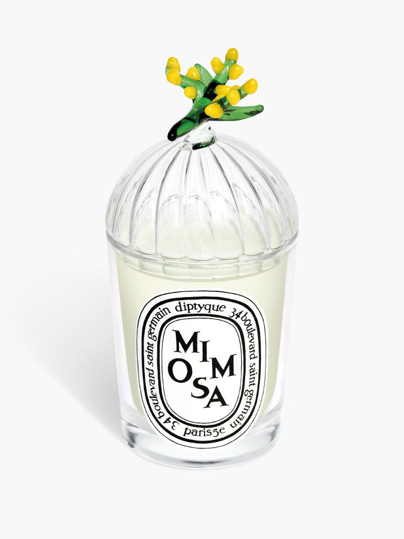 Mimosa Lid - For classic candles 1