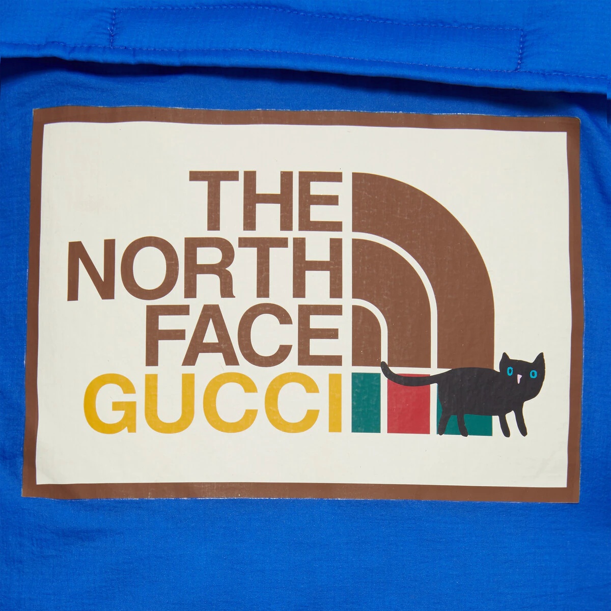 The North Face x Gucci down jacket - 7