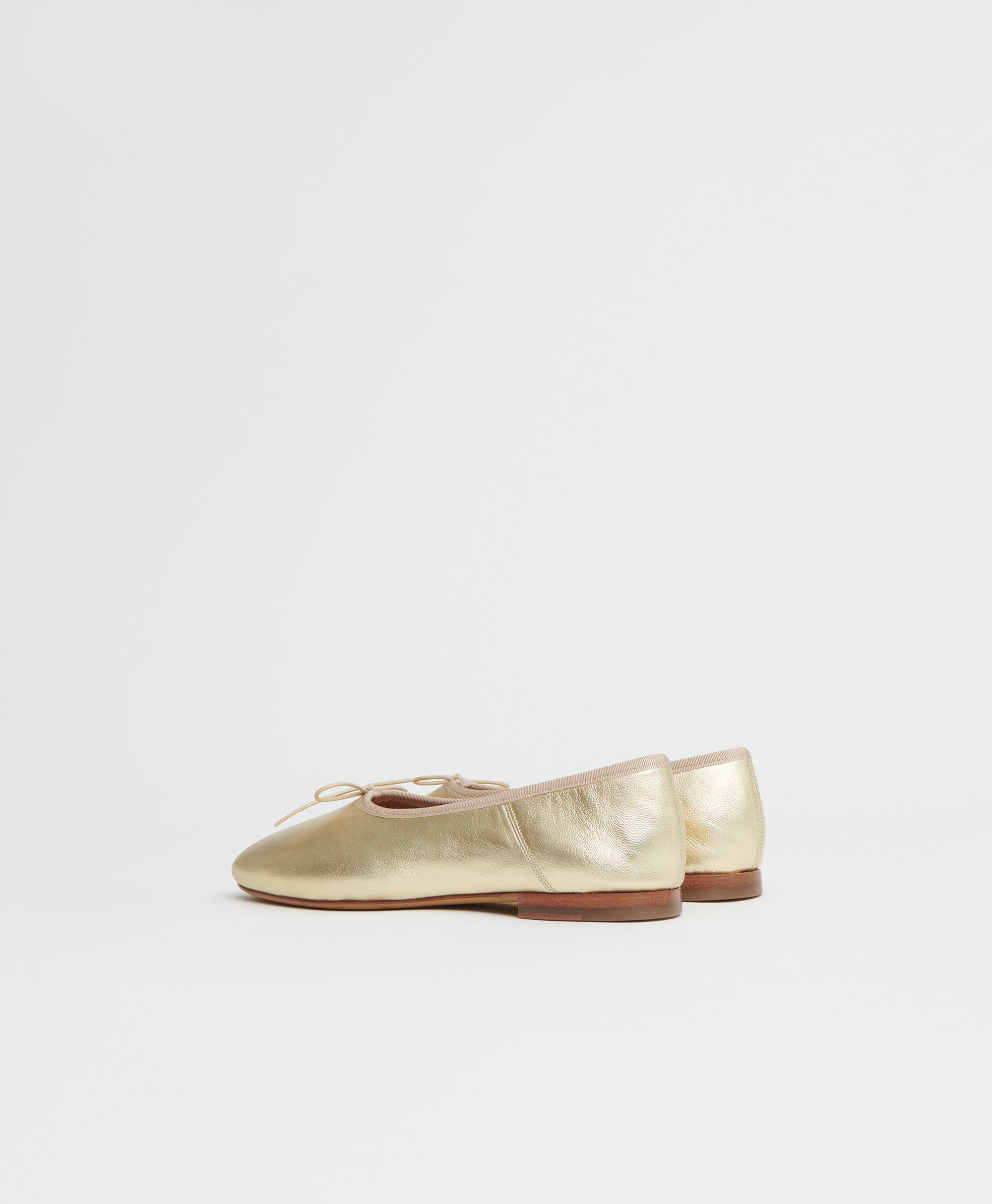 DREAM BALLERINA - 6