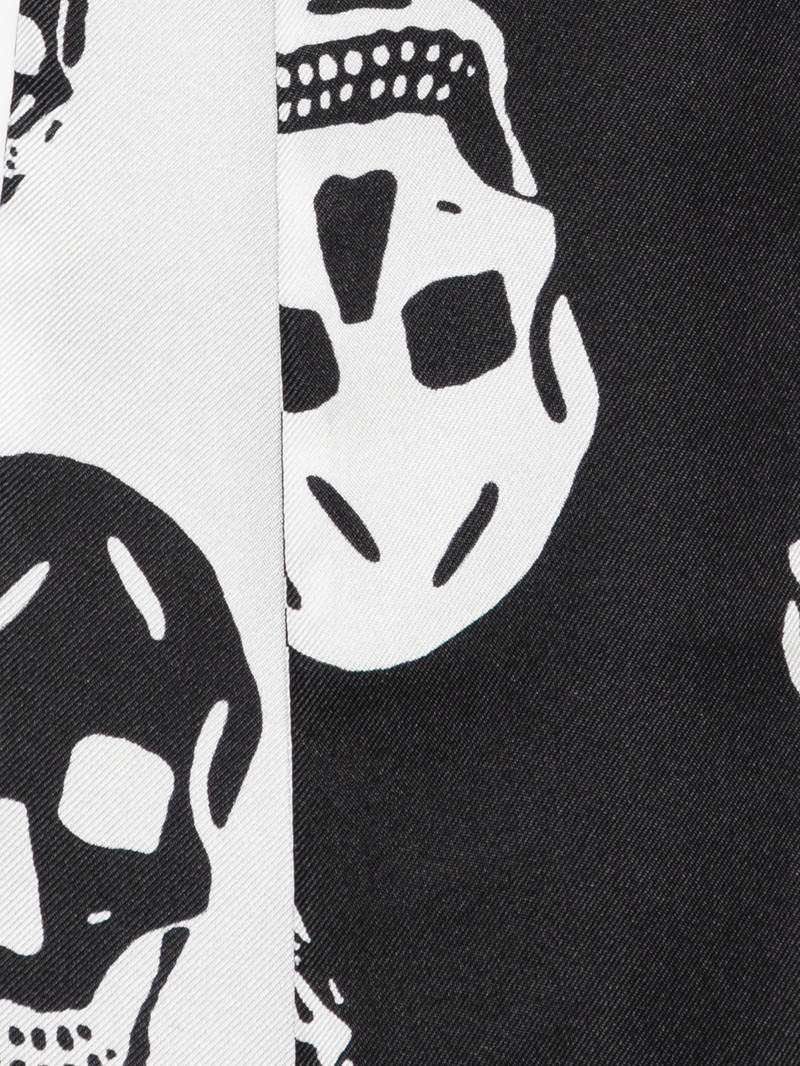 Alexander McQueen Alexander Mcqueen Skull-print Scarf outlook