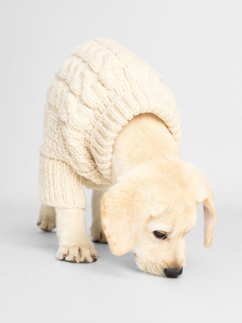 The Cable Dog Sweater 3