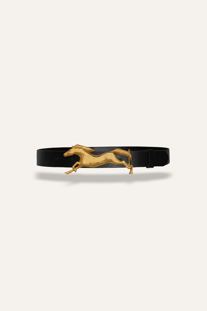 Iconic Imagery Belt 1