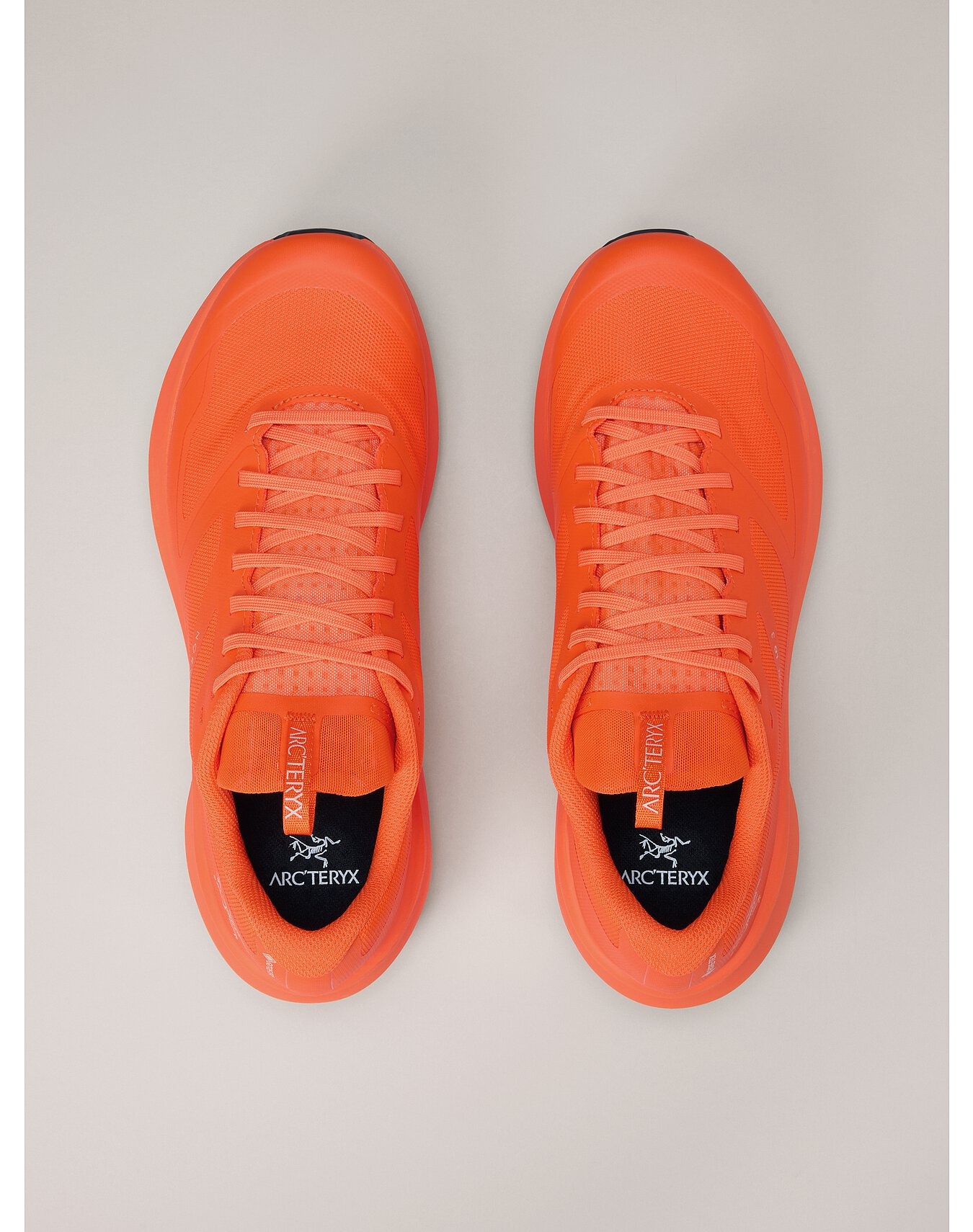 Norvan LD 3 GTX Shoe - 3