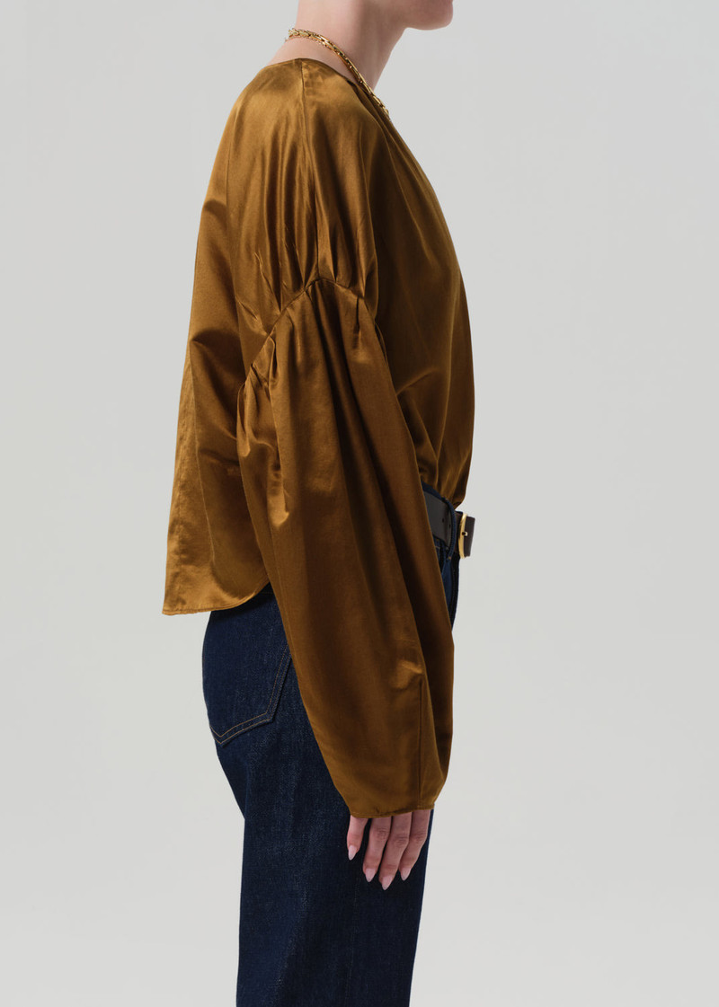 Anika Top In Golden 4