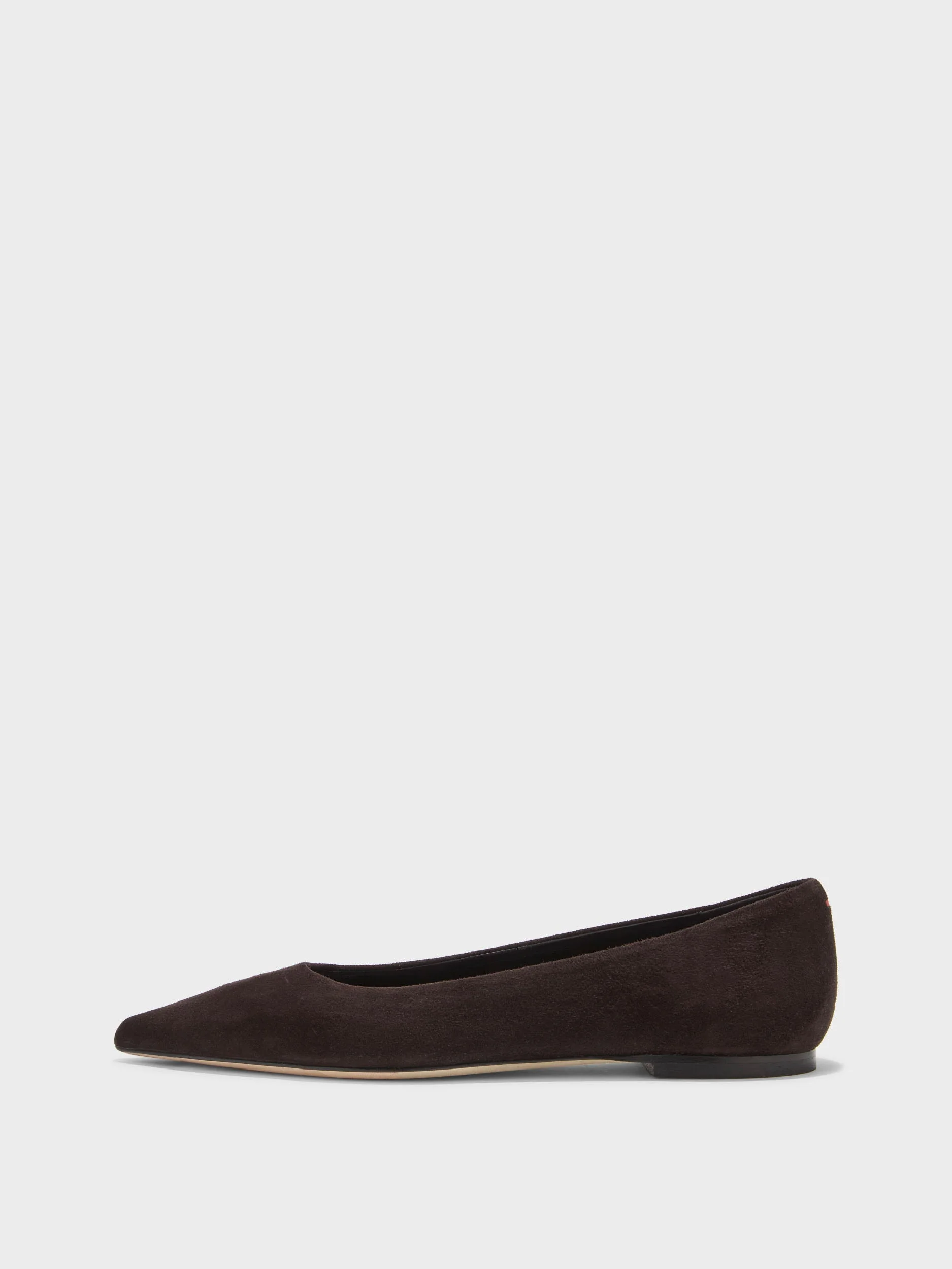 Cassy Pointed-Toe Suede Flats - 1