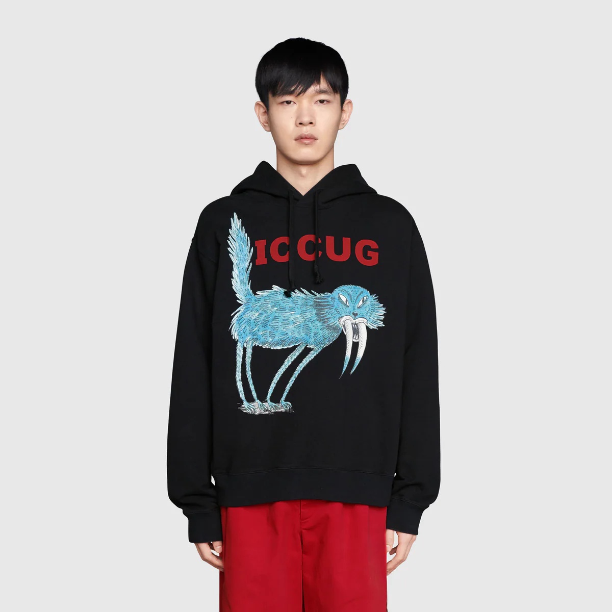 Sweatshirt with ICCUG animal print by Freya Hartas - 3